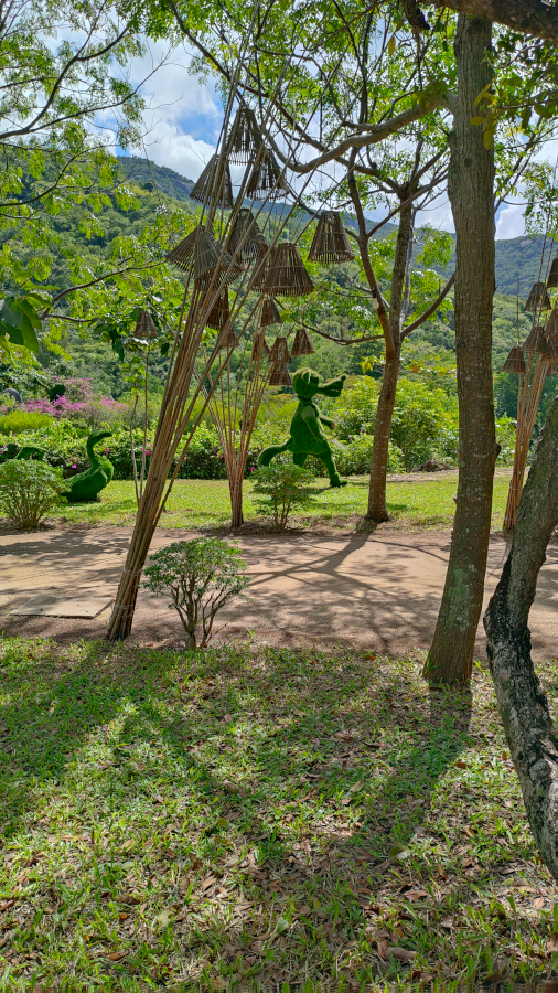 photo-1.jpg