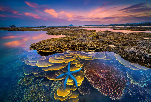 sanhohonyenphuyen-17041102148231984849929.jpg